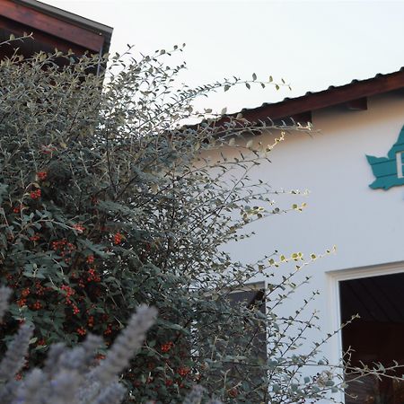艾迪尼亚庞塔索伯拉纳酒店 埃尔卡拉法特 外观 照片